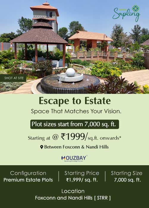 Saibya Sapling farm plots 